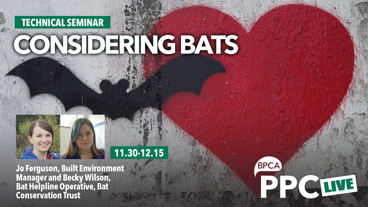 Considering bats during the pest control process talk at PPC Live 2020 Considering bats during the pest control process talk at PPC Live 2020